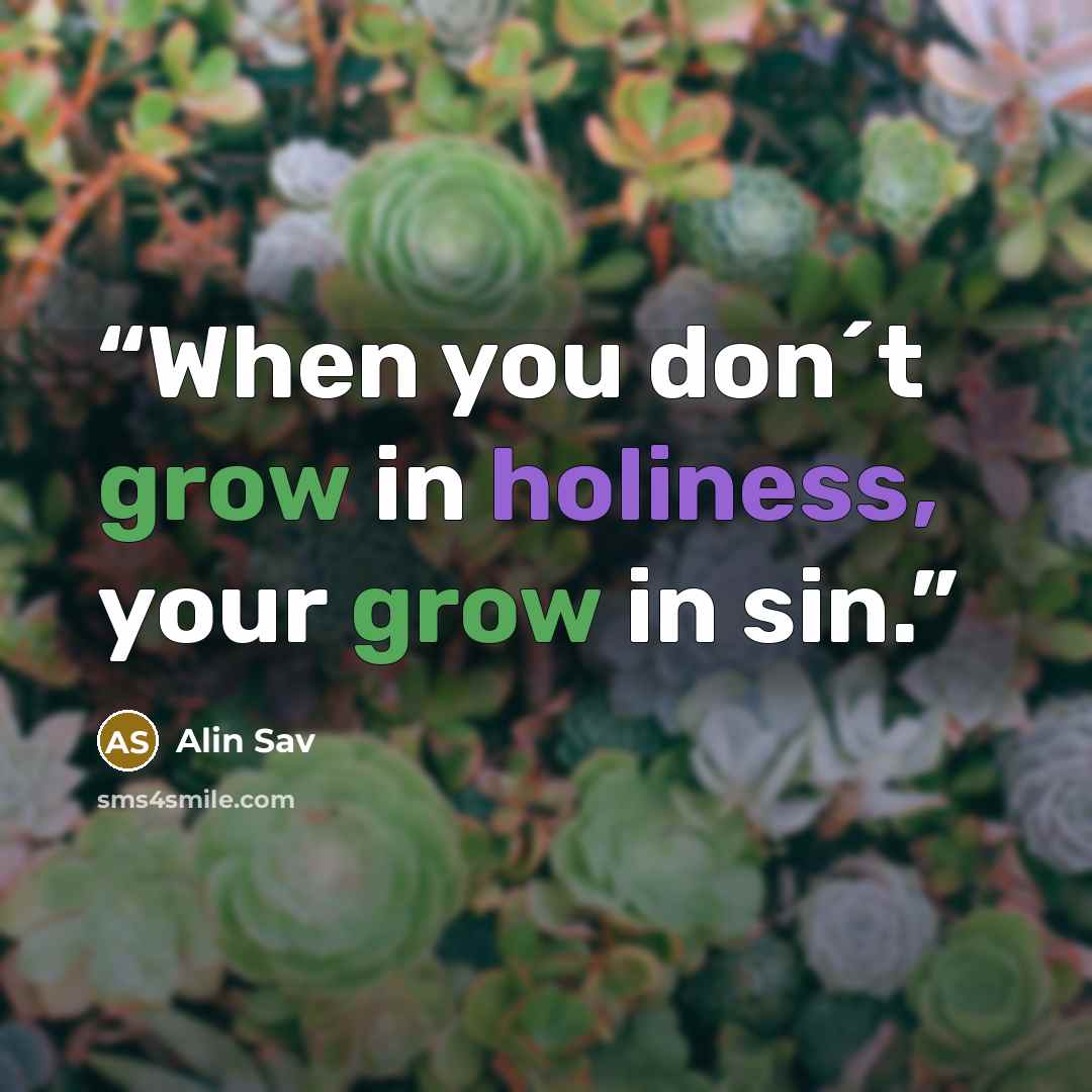“When you don´t grow in holiness, your grow in sin.” quote by Alin Sav