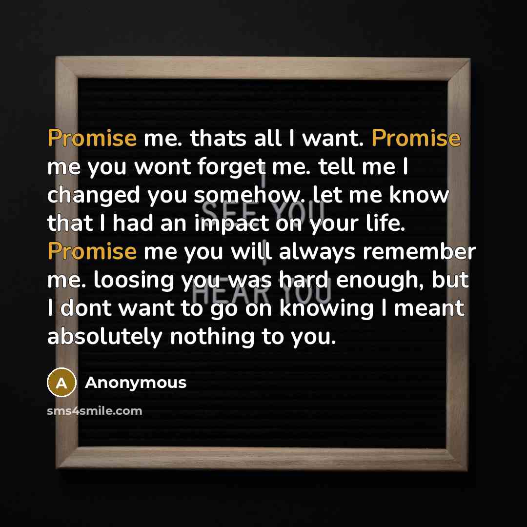 “Promise me. thats all I want. Promise me you wont…” quote by Anonymous