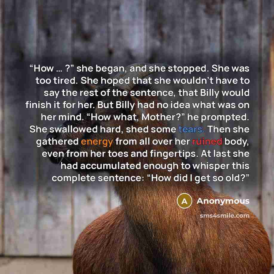“How … ?” she began, and she stopped. She was too tired. She hoped that she wouldn’t have to say the rest of the sentence, that Billy would finish it for her. But Billy had no idea what was on her mind. “How what, Mother?” he prompted. She swallowed hard, shed some tears. Then she gathered energy…” quote by Anonymous
