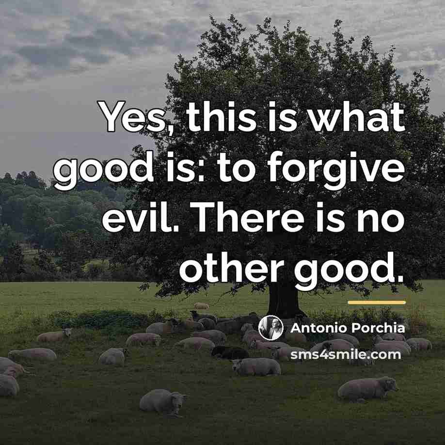“Yes, this is what good is: to forgive evil. There…” quote by Antonio Porchia