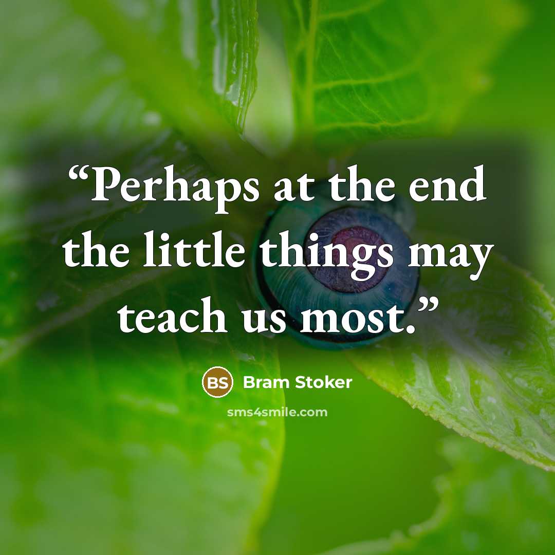 “Perhaps at the end the little things may teach us most.” quote by Bram Stoker