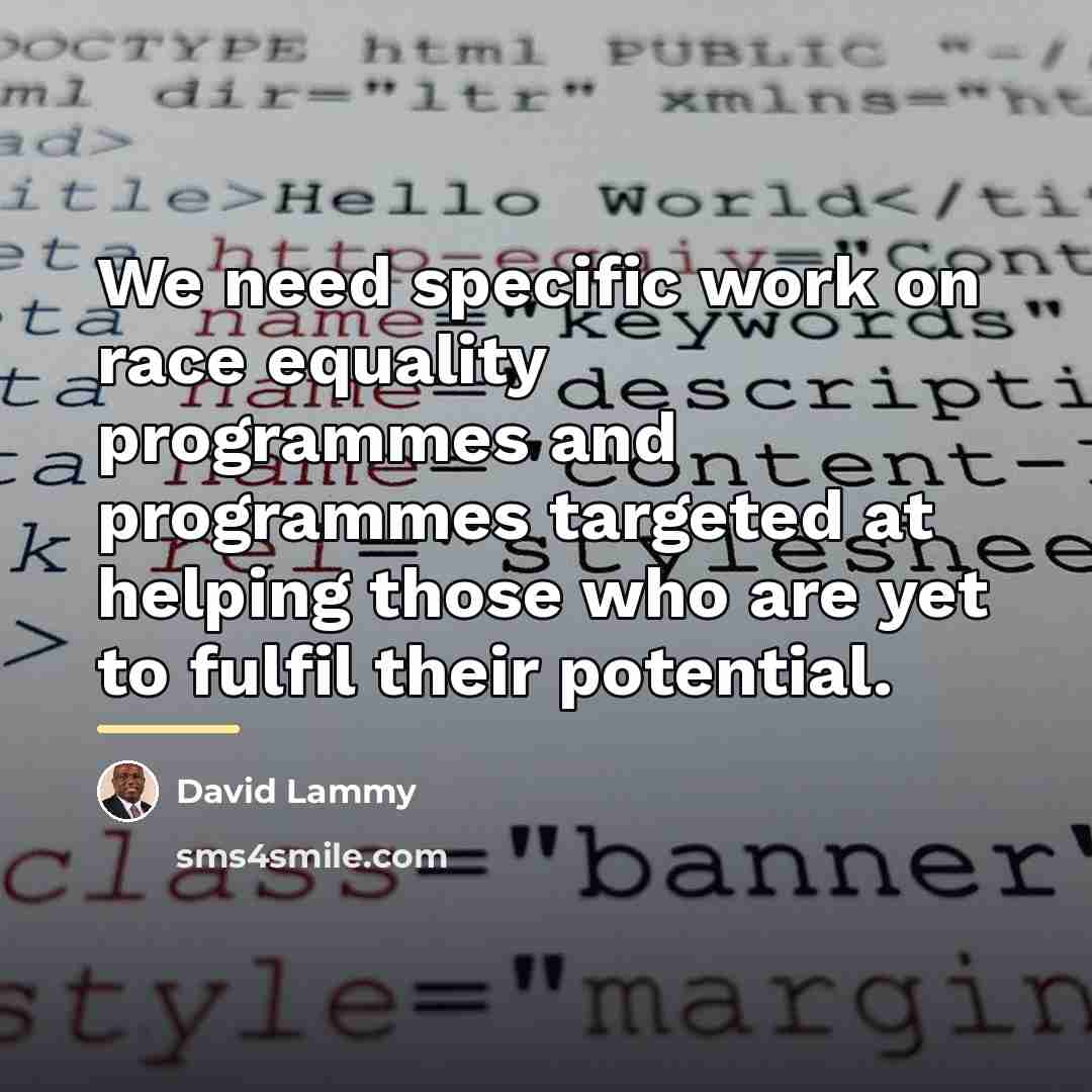 “We need specific work on race equality programmes and programmes…” quote by David Lammy