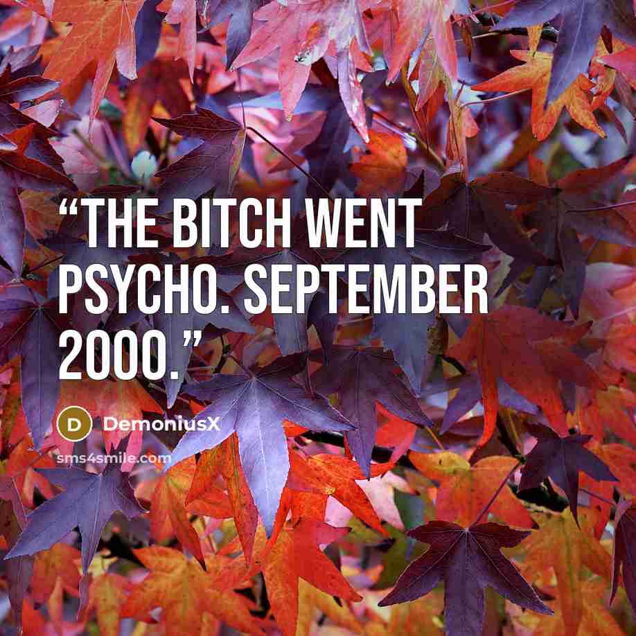 “The bitch went psycho. September 2000.” quote by DemoniusX