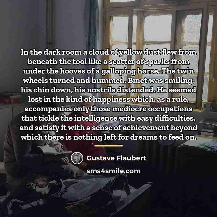 “In the dark room a cloud of yellow dust flew…” quote by Gustave Flaubert