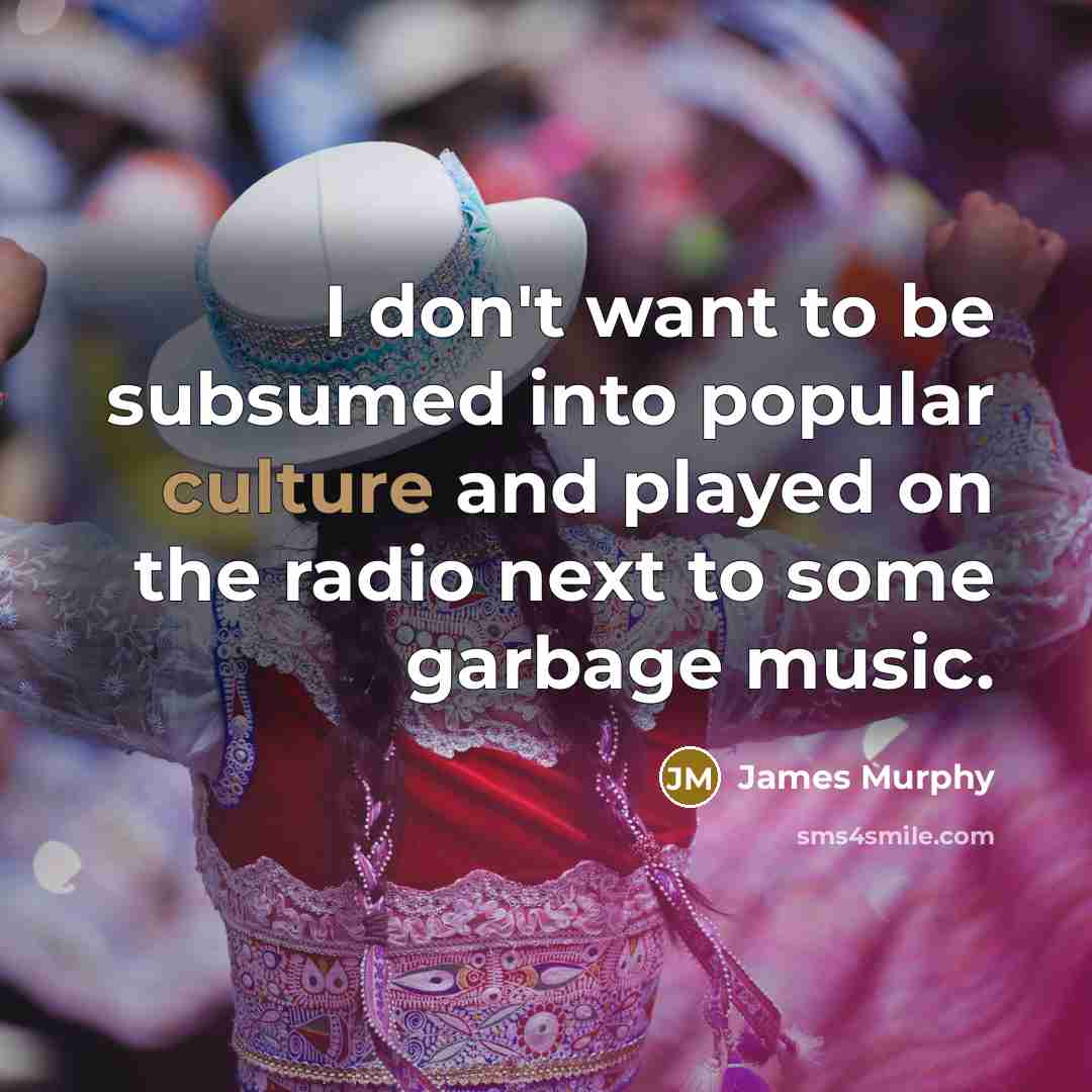 “I don't want to be subsumed into popular culture and…” quote by James Murphy