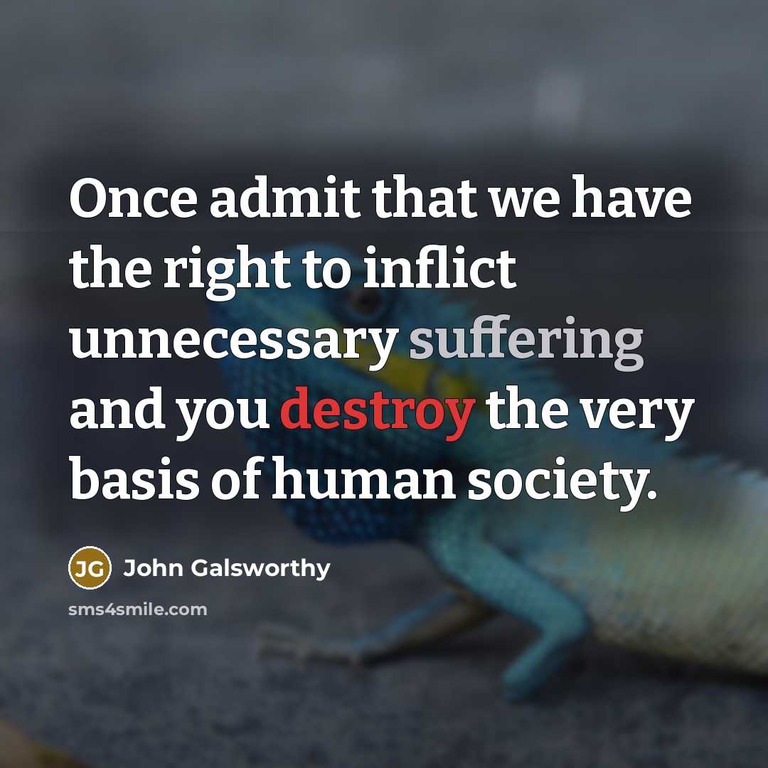 “Once admit that we have the right to inflict unnecessary…” quote by John Galsworthy