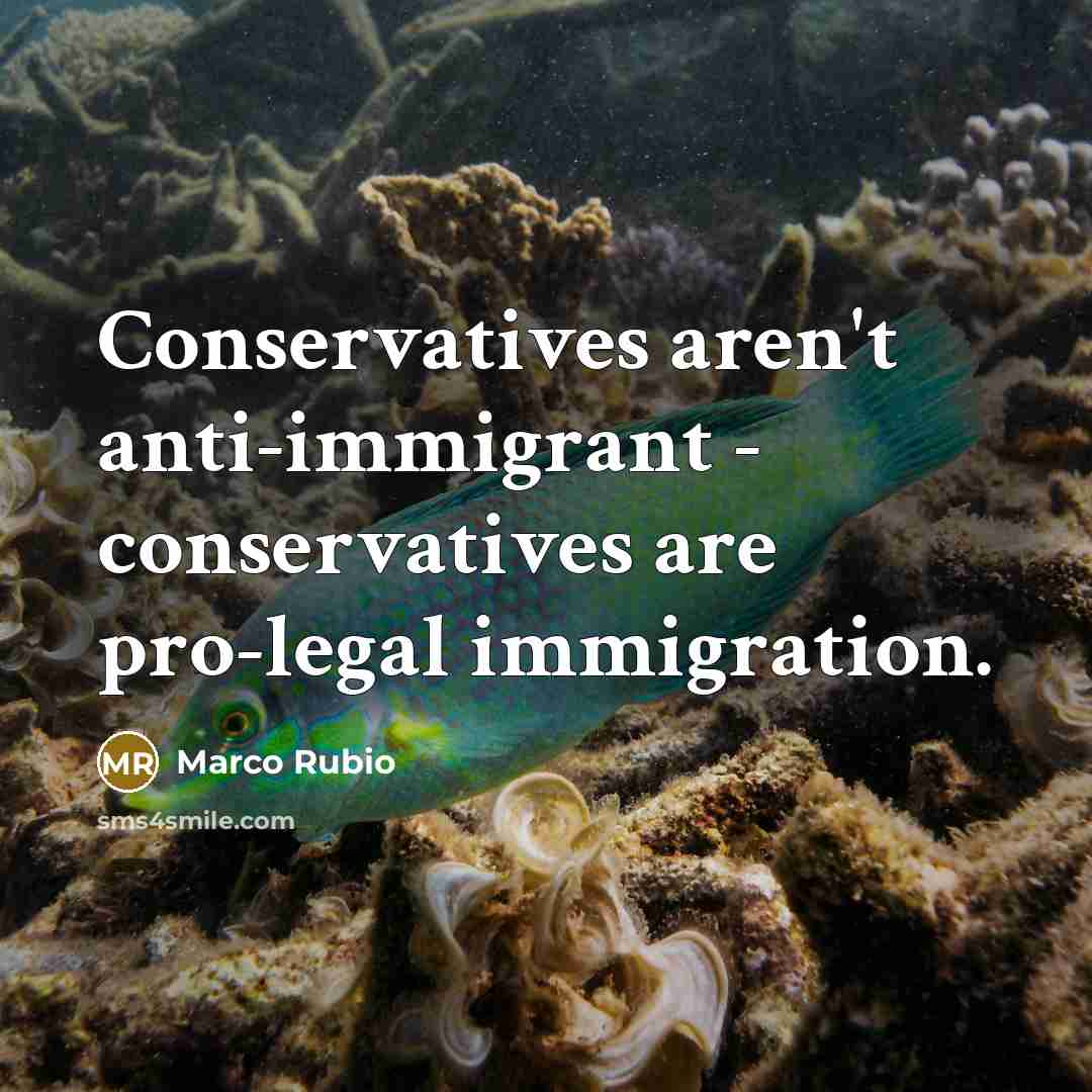 “Conservatives aren't anti-immigrant - conservatives are pro-legal immigration.…” quote by Marco Rubio