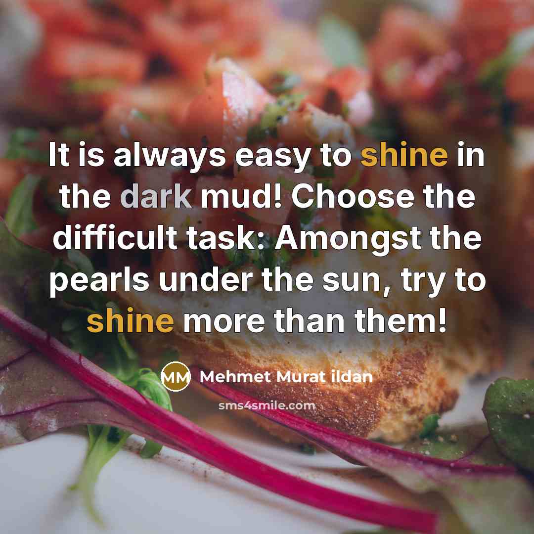 “It is always easy to shine in the dark mud!…” quote by Mehmet Murat Ildan
