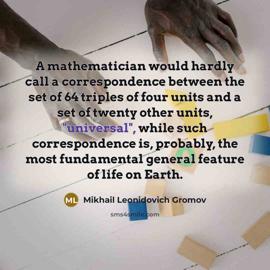 “A mathematician would hardly call a correspondence between the set…” quote by Mikhail Leonidovich Gromov