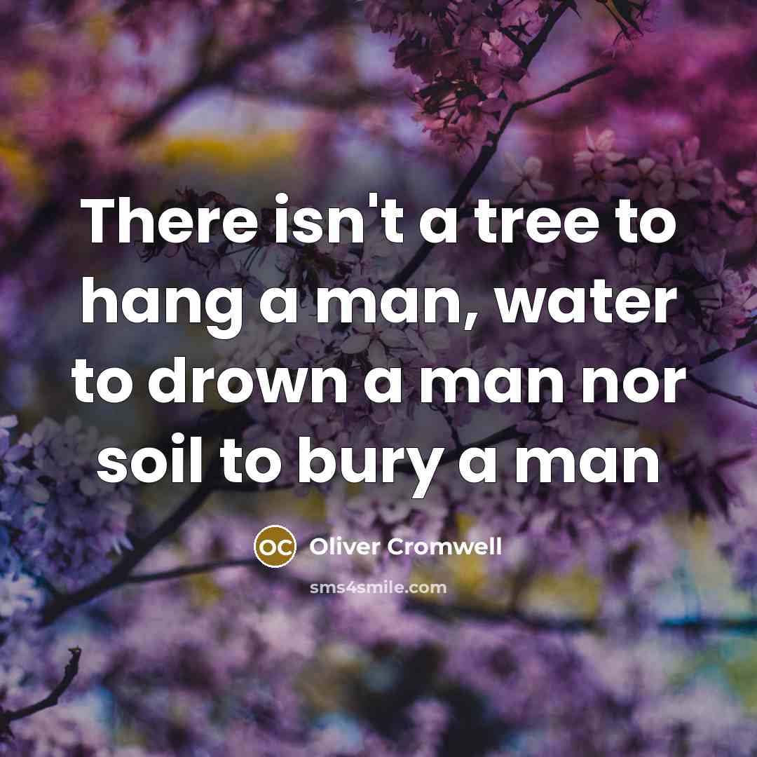 “There isn't a tree to hang a man, water to…” quote by Oliver Cromwell