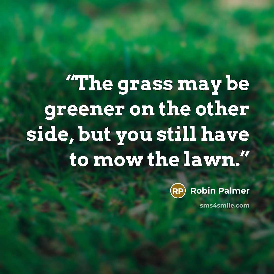 “The grass may be greener on the other side, but you still have to mow the lawn.” quote by Robin Palmer