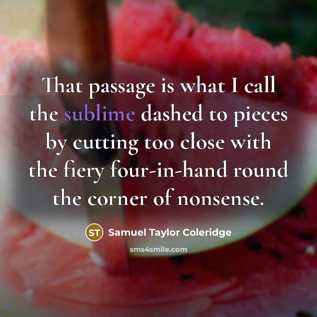 “That passage is what I call the sublime dashed to…” quote by Samuel Taylor Coleridge