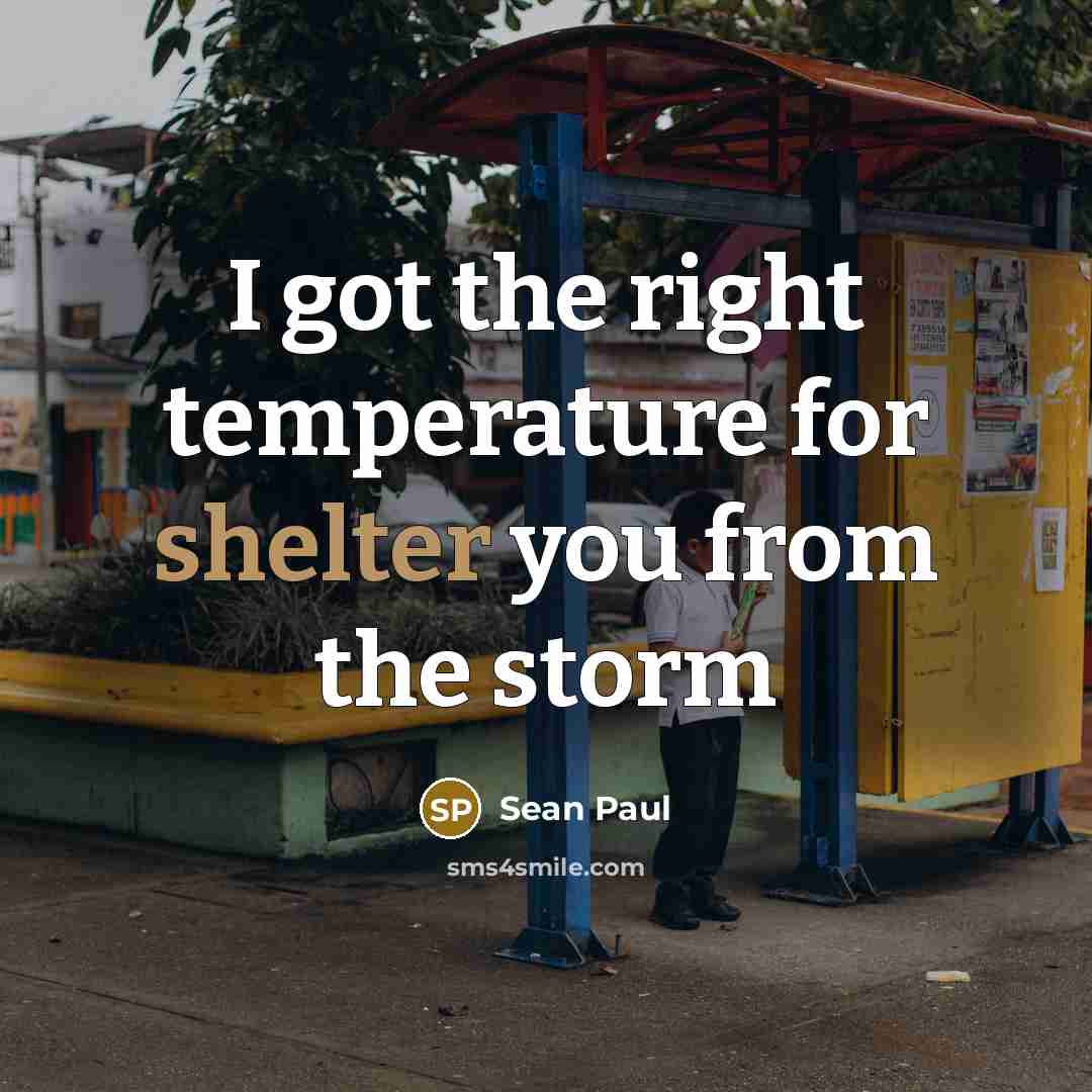 “I got the right temperature for shelter you from the…” quote by Sean Paul