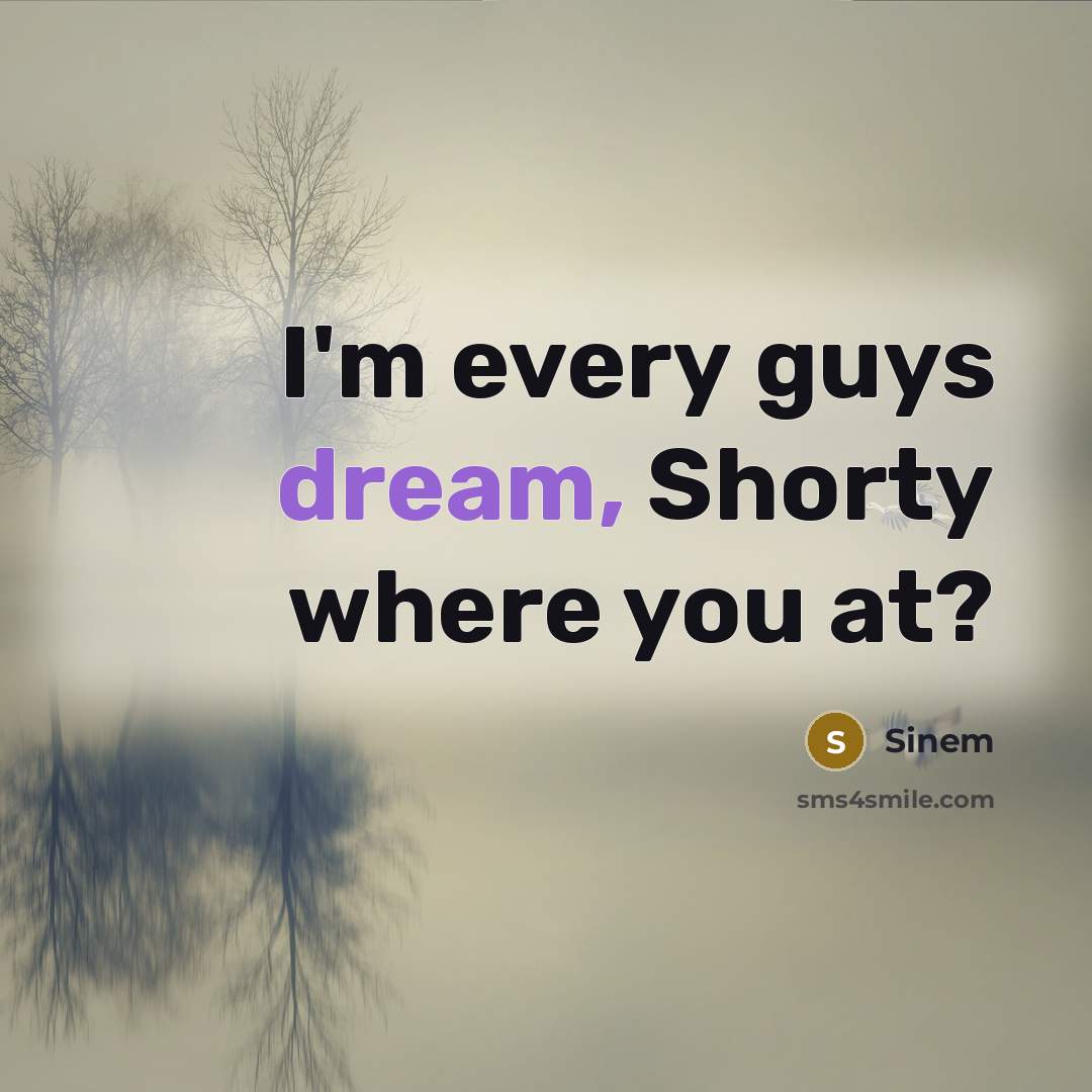 “I'm every guys dream, Shorty where you at?…” quote by Sinem