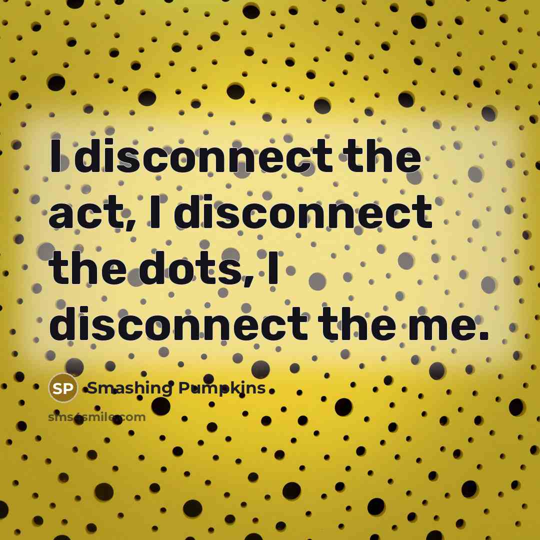 “I disconnect the act, I disconnect the dots, I disconnect…” quote by Smashing Pumpkins