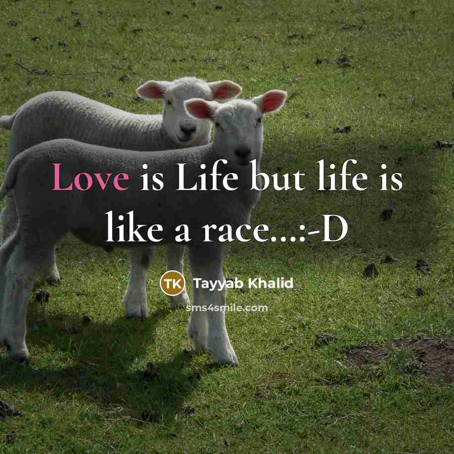 “Love is Life but life is like a race…:-D” quote by Tayyab Khalid