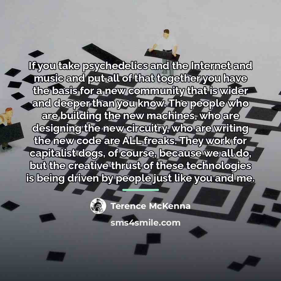 “If you take psychedelics and the Internet and music and…” quote by Terence McKenna