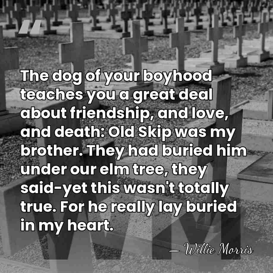 The dog of your boyhood teaches you a great deal about friendship,&hellip; - Willie Morris