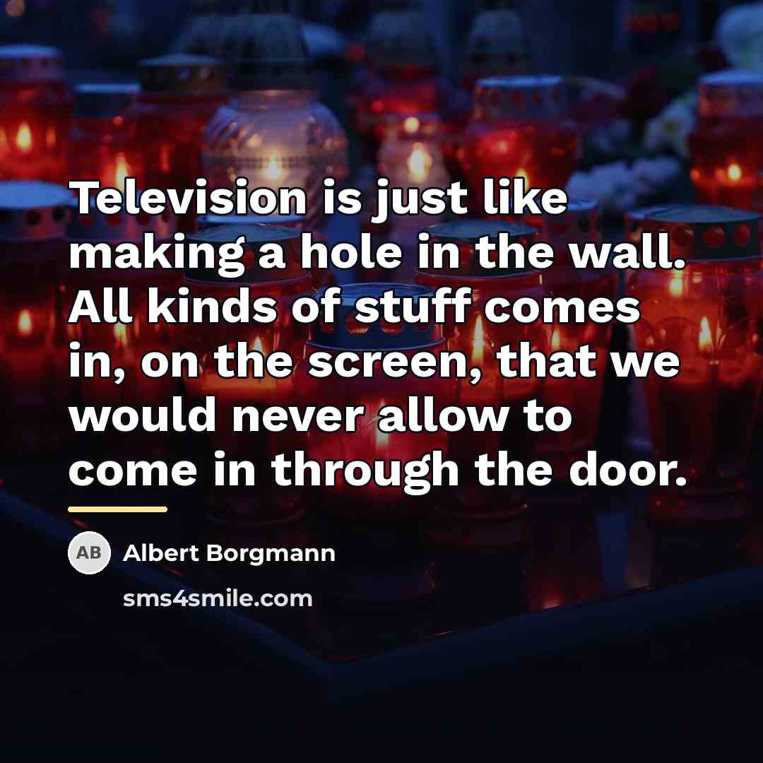 “Television is just like making a hole in the wall.…” quote by Albert Borgmann