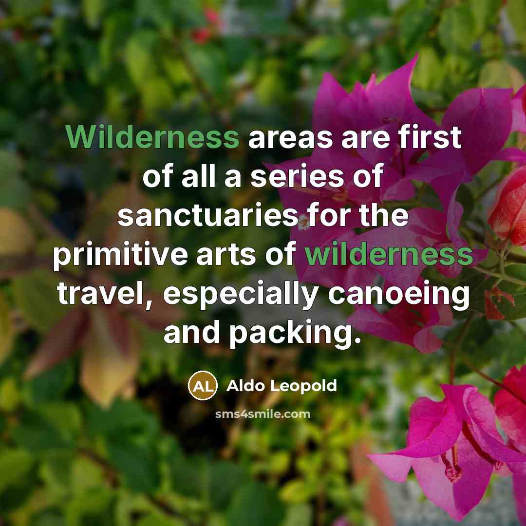 “Wilderness areas are first of all a series of sanctuaries…” quote by Aldo Leopold