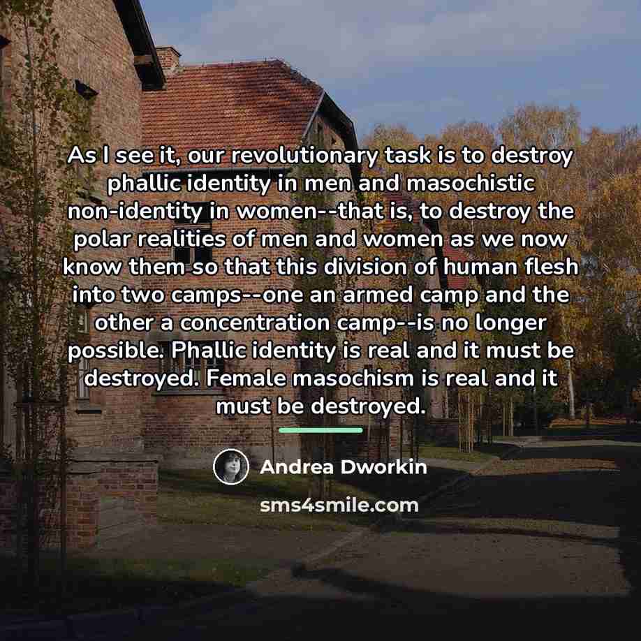 “As I see it, our revolutionary task is to destroy…” quote by Andrea Dworkin