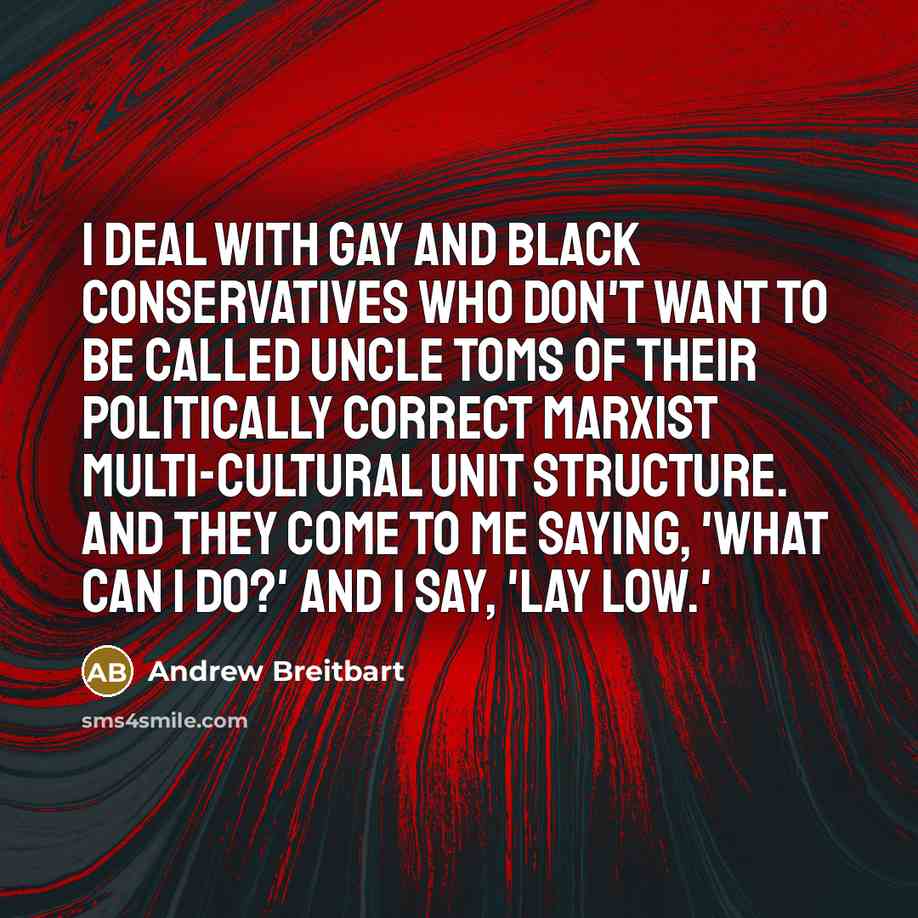 “I deal with gay and black conservatives who don't want…” quote by Andrew Breitbart