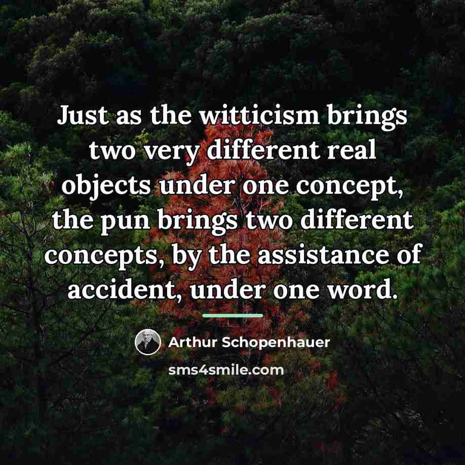 “Just as the witticism brings two very different real objects…” quote by Arthur Schopenhauer