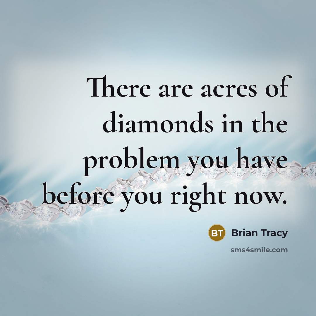 “There are acres of diamonds in the problem you have…” quote by Brian Tracy