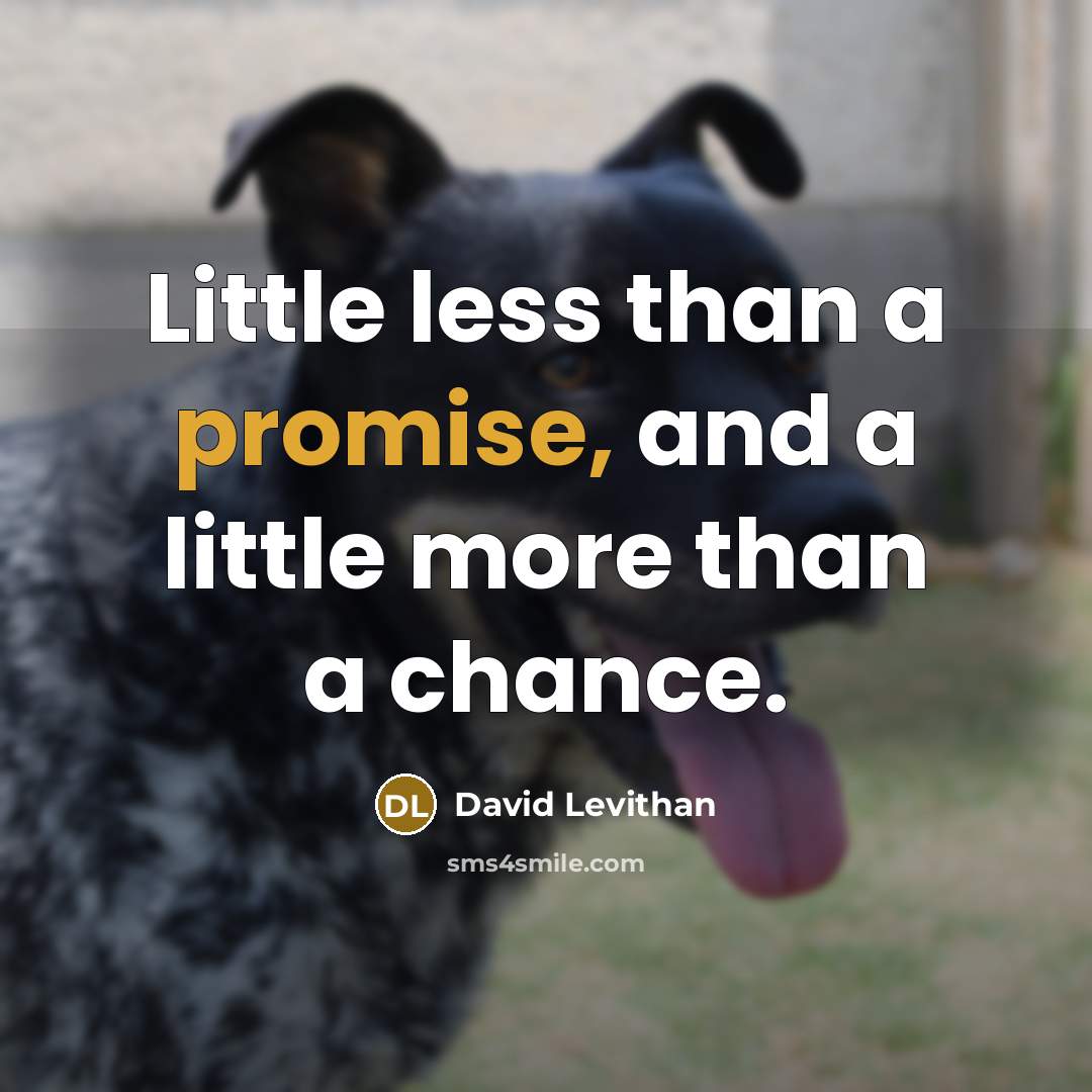 “Little less than a promise, and a little more than…” quote by David Levithan