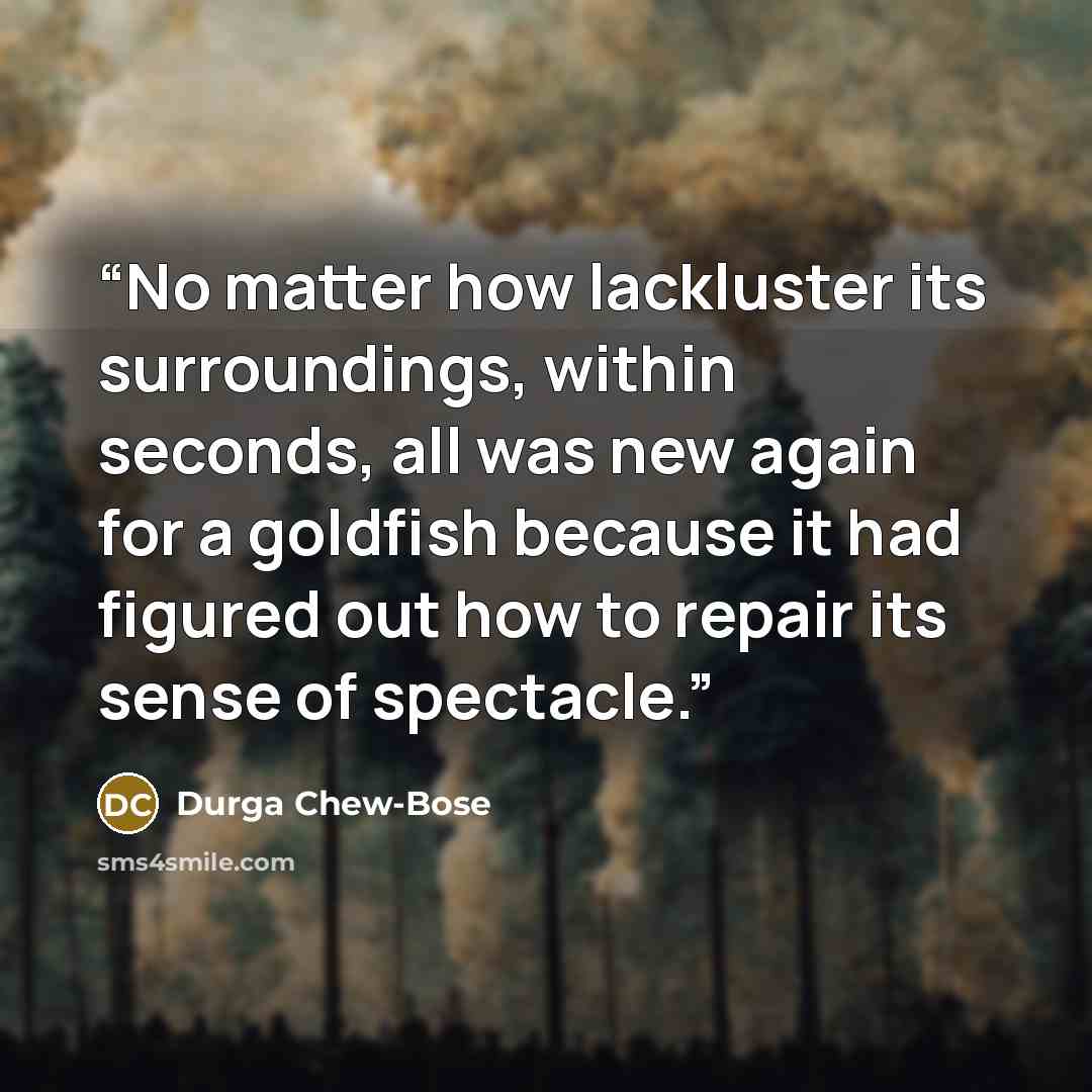 “No matter how lackluster its surroundings, within seconds, all was new again for a goldfish because it had figured out how to repair its sense of spectacle.” quote by Durga Chew-Bose