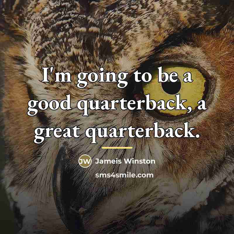 “I'm going to be a good quarterback, a great quarterback.…” quote by Jameis Winston