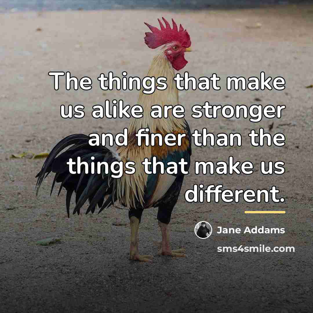 “The things that make us alike are stronger and finer…” quote by Jane Addams