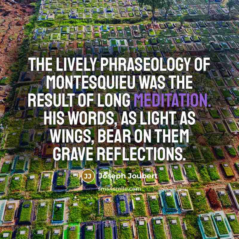 “The lively phraseology of Montesquieu was the result of long…” quote by Joseph Joubert