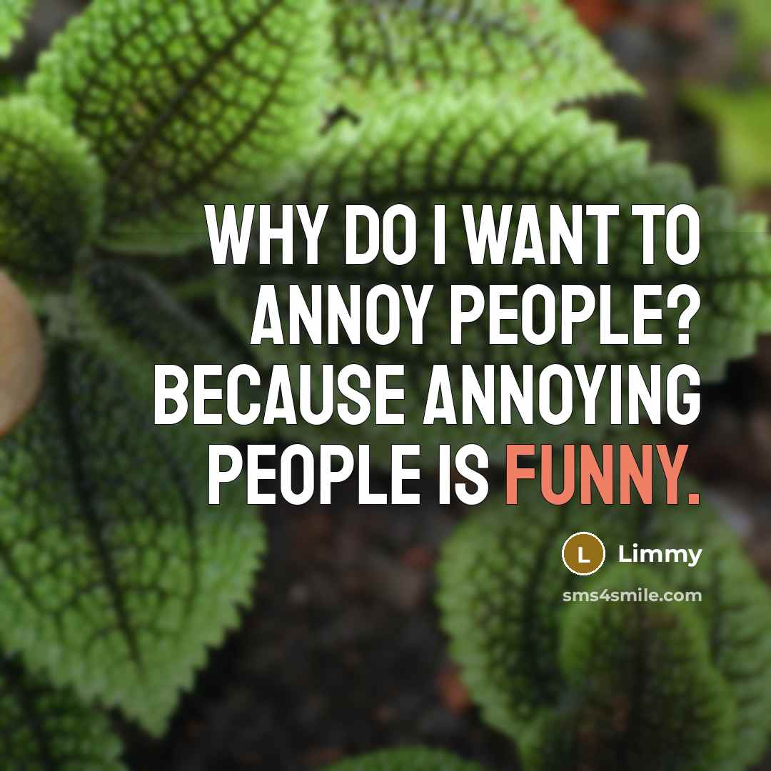 “Why do I want to annoy people? Because annoying people is funny.” quote by Limmy