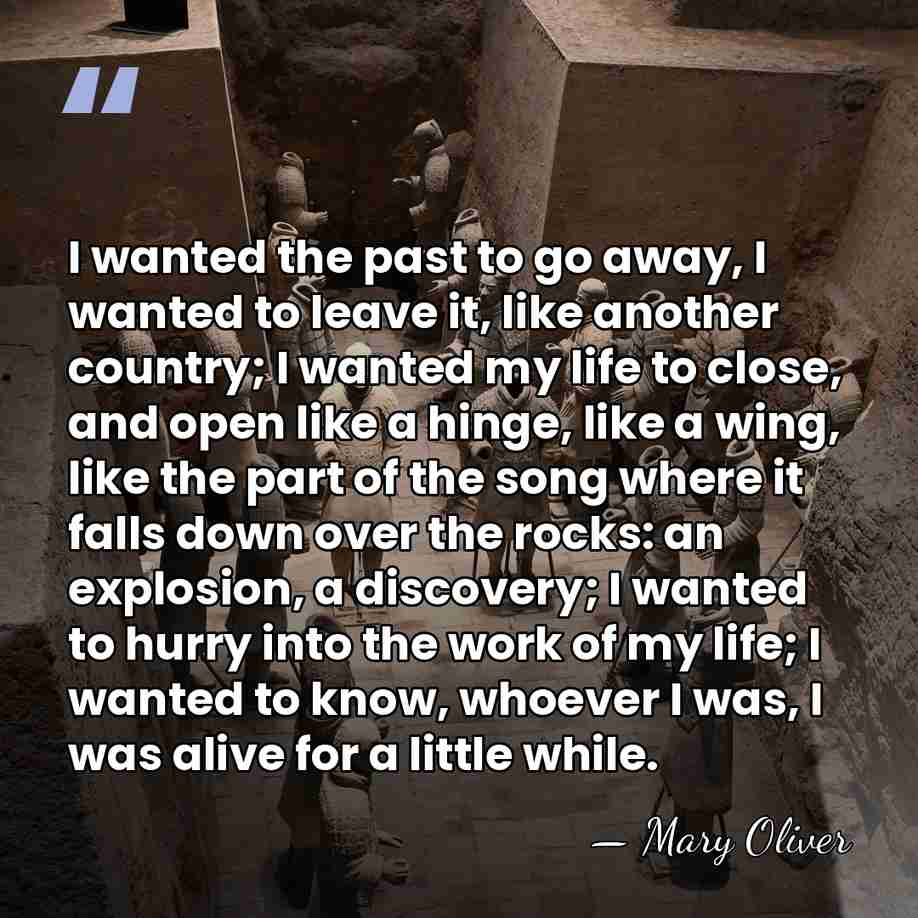 I wanted the past to go away, I wanted to leave it,&hellip; - Mary Oliver
