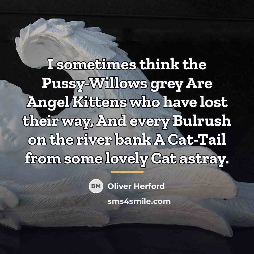“I sometimes think the Pussy-Willows grey Are Angel Kittens who…” quote by Oliver Herford