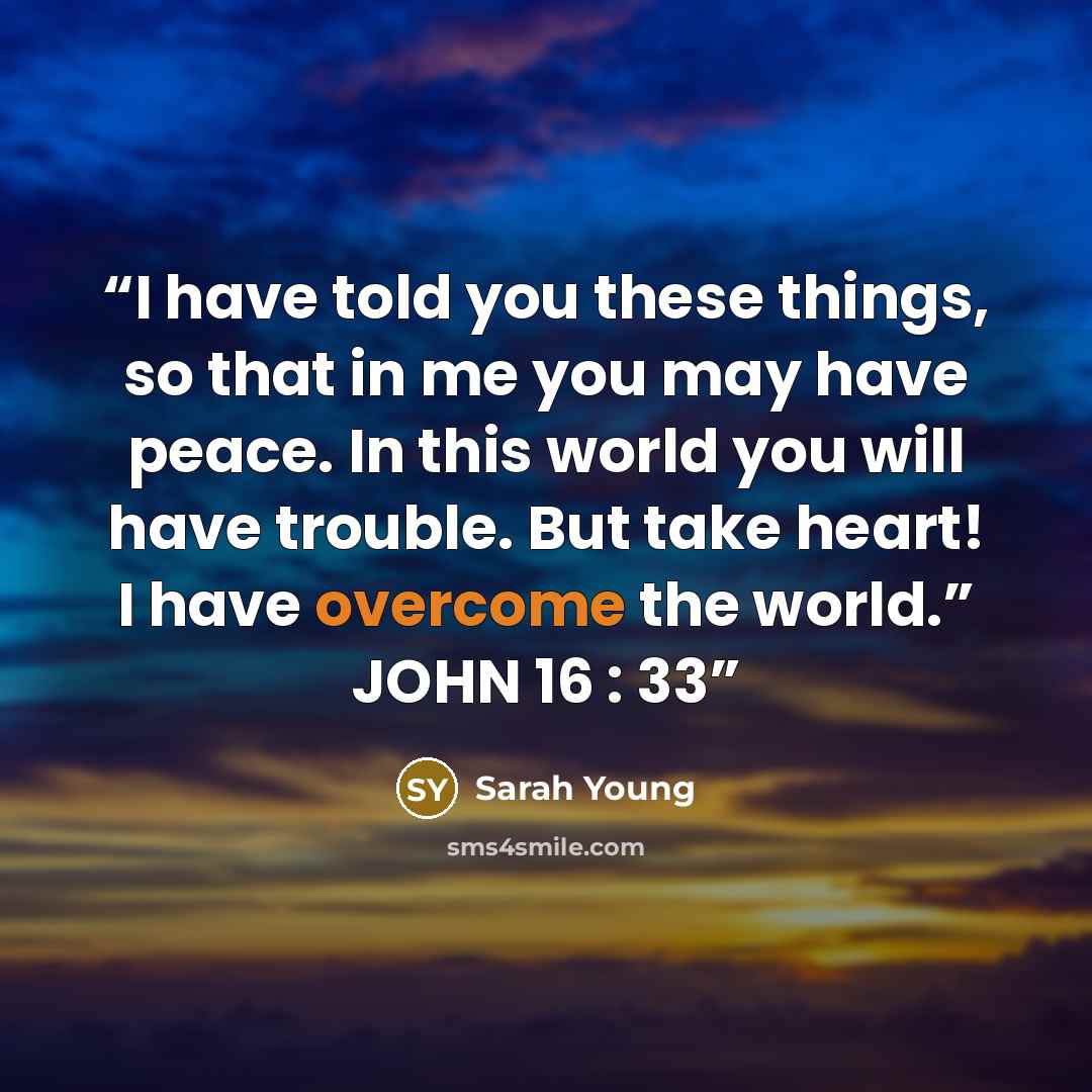 “I have told you these things, so that in me you may have peace. In this world you will have trouble. But take heart! I have overcome the world.” JOHN 16 : 33” quote by Sarah Young