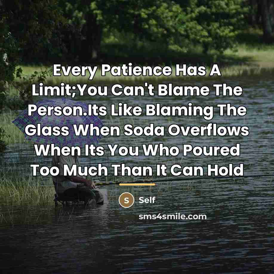 “Every Patience Has A Limit;You Can't Blame The Person.Its Like…” quote by Self