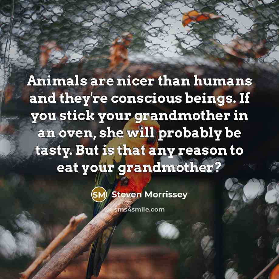 “Animals are nicer than humans and they're conscious beings. If…” quote by Steven Morrissey