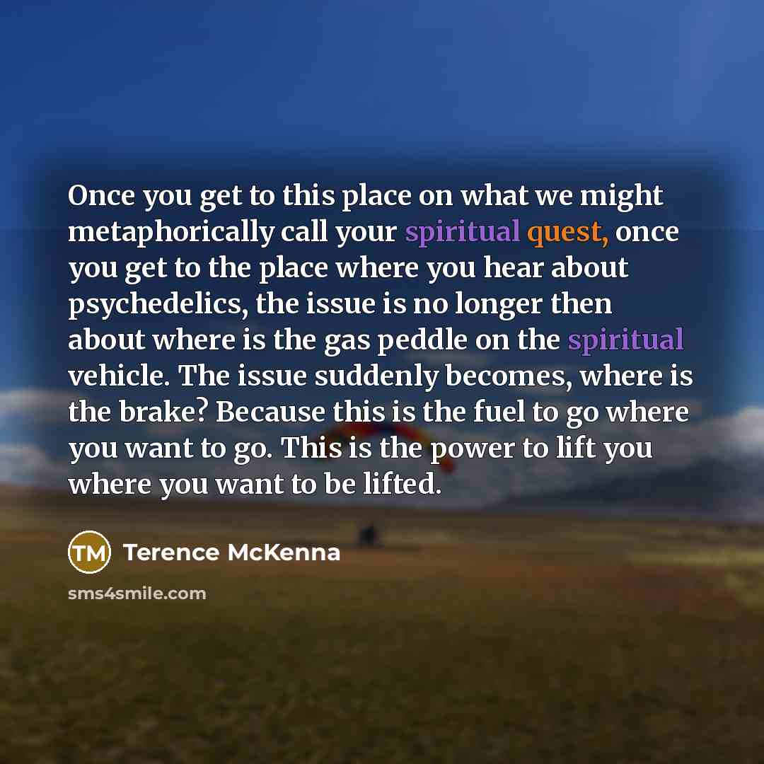 “Once you get to this place on what we might…” quote by Terence McKenna