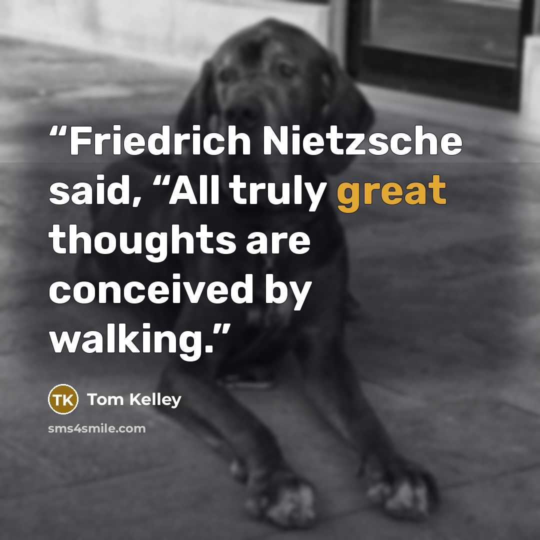 “Friedrich Nietzsche said, “All truly great thoughts are conceived by walking.” quote by Tom Kelley