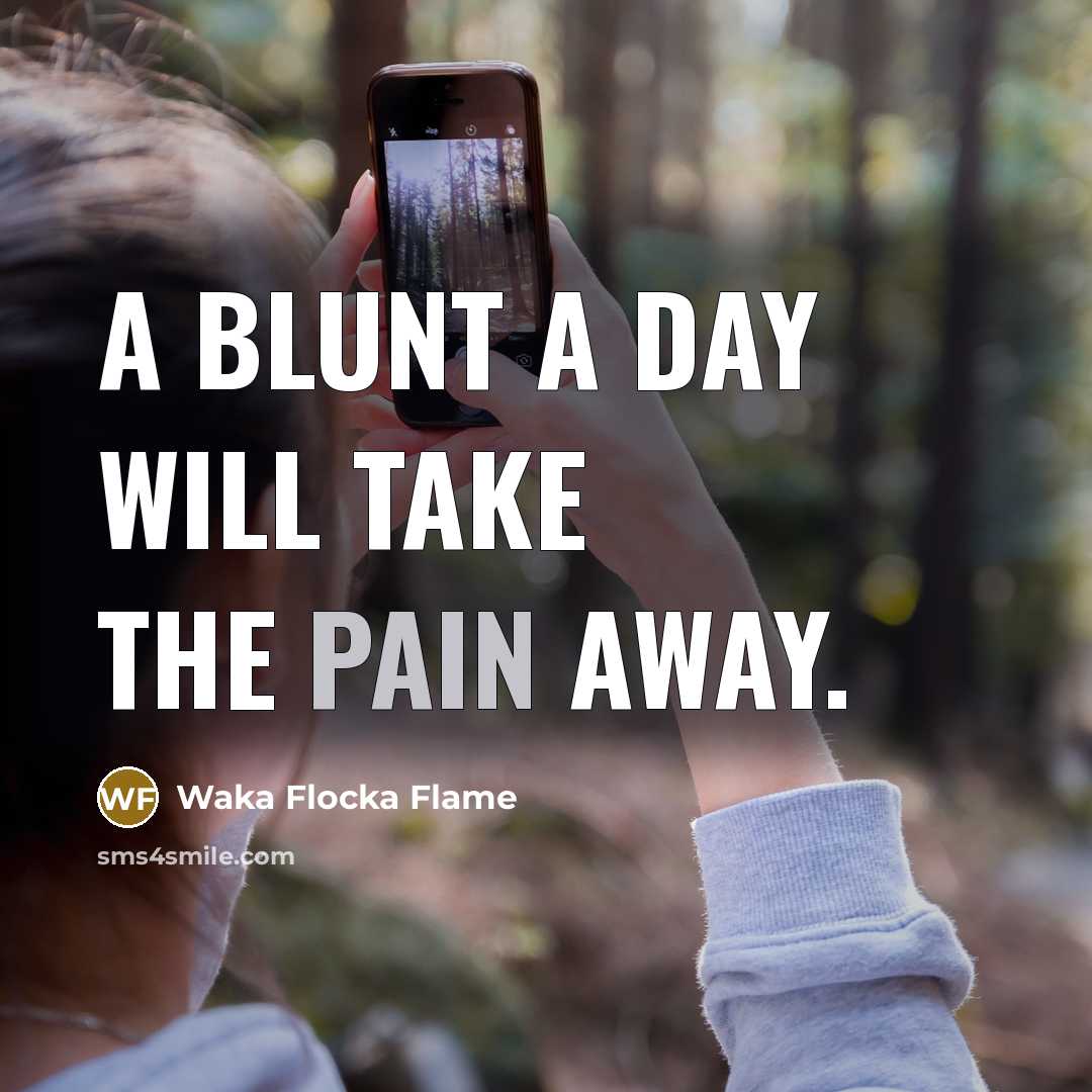 “A blunt a day will take the pain away.” quote by Waka Flocka Flame