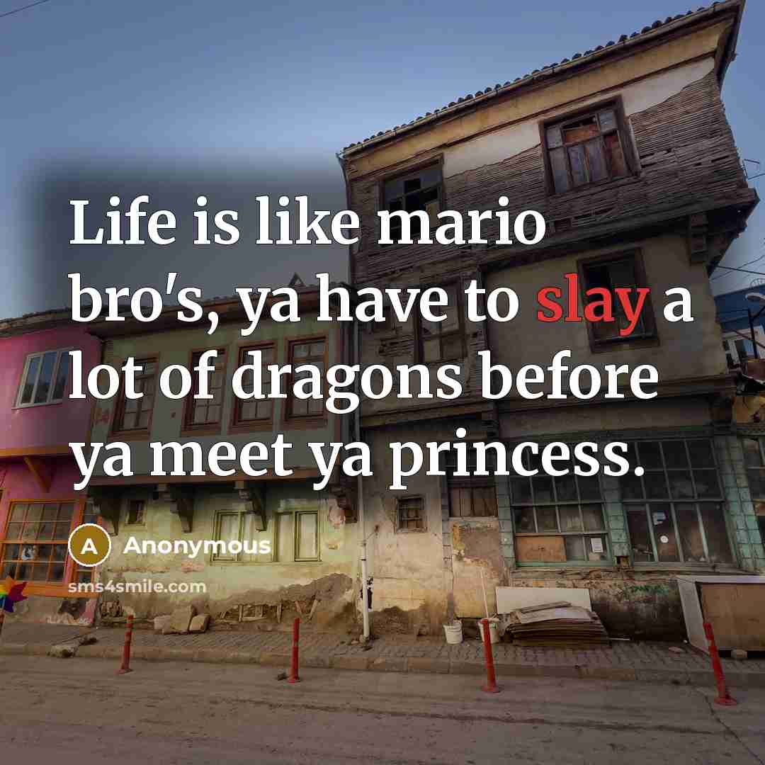 “Life is like mario bro's, ya have to slay a lot of dragons before ya meet ya princess.” quote by Anonymous
