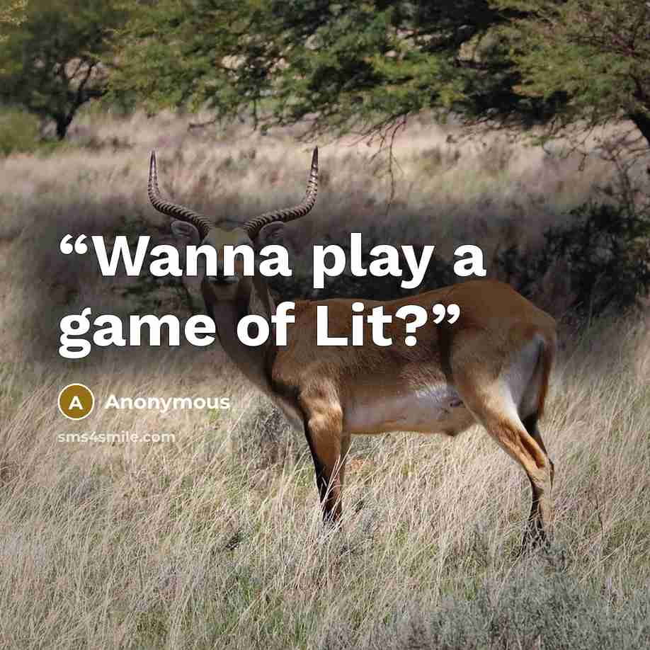 “Wanna play a game of Lit?” quote by Anonymous