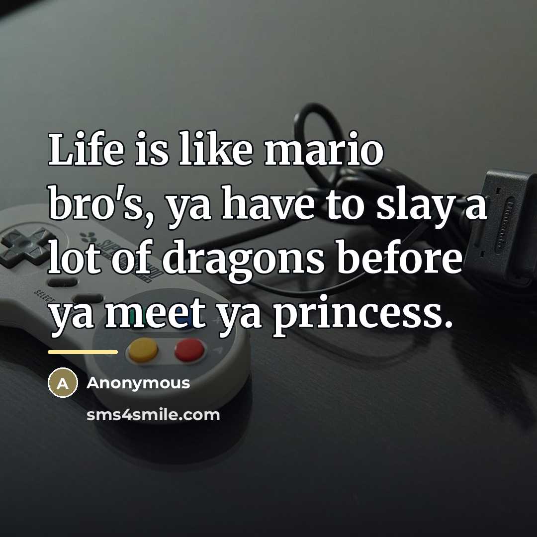 “Life is like mario bro's, ya have to slay a…” quote by Anonymous
