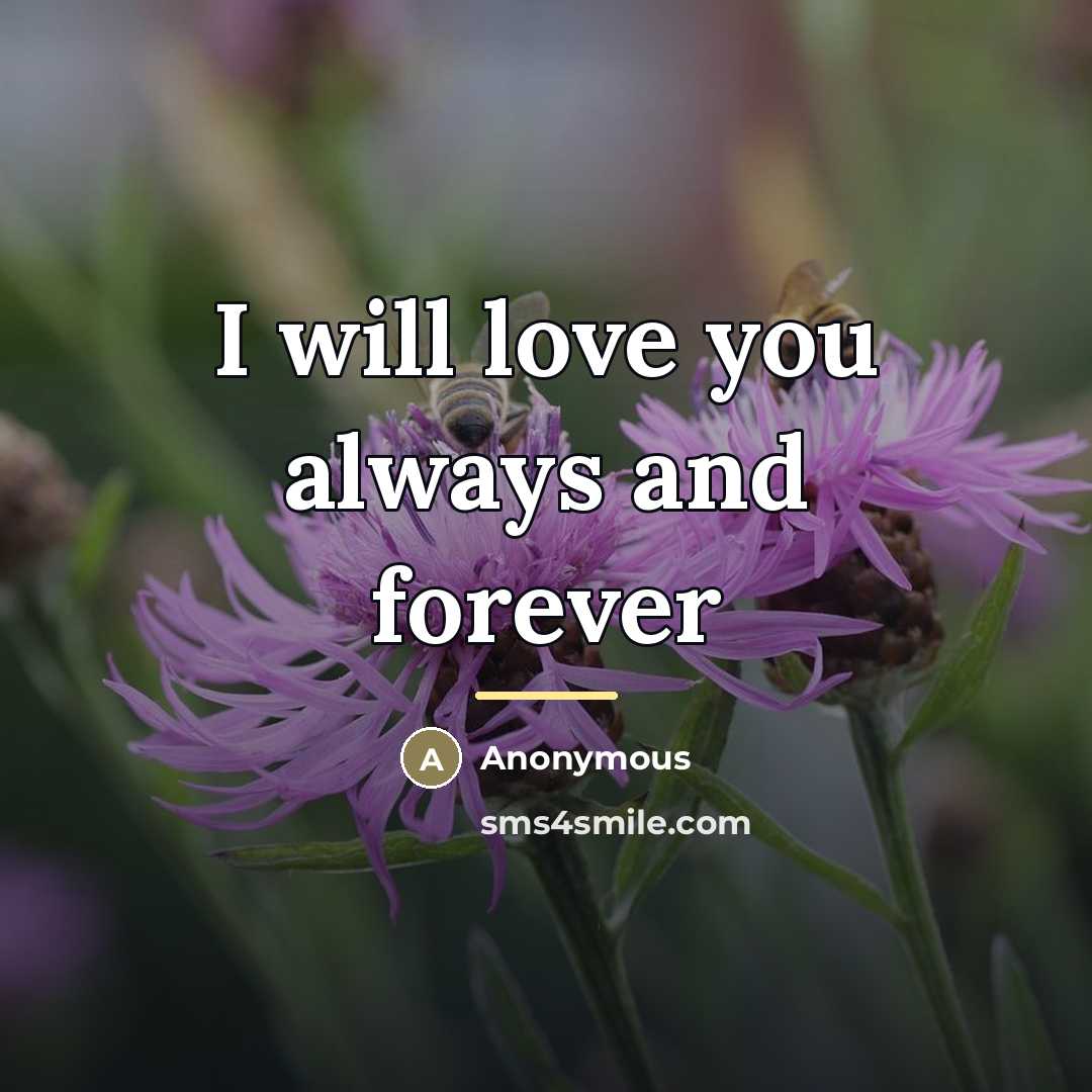 “I will love you always and forever…” quote by Anonymous