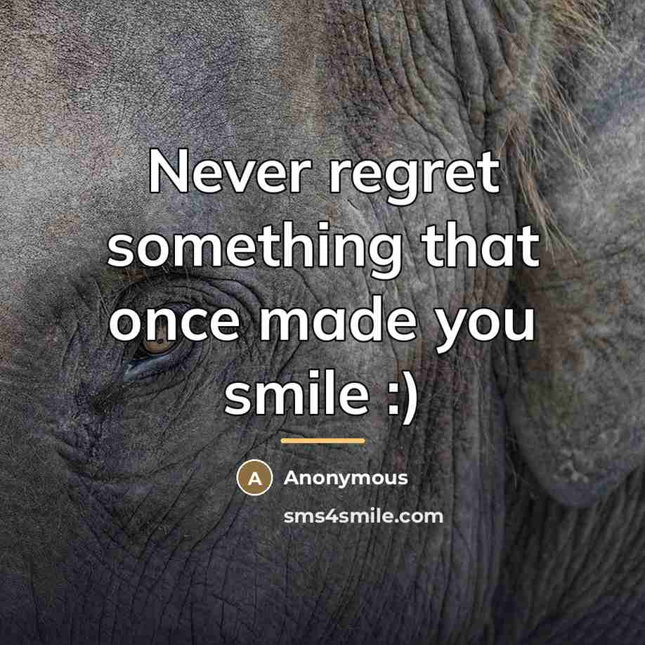 “Never regret something that once made you smile :)…” quote by Anonymous