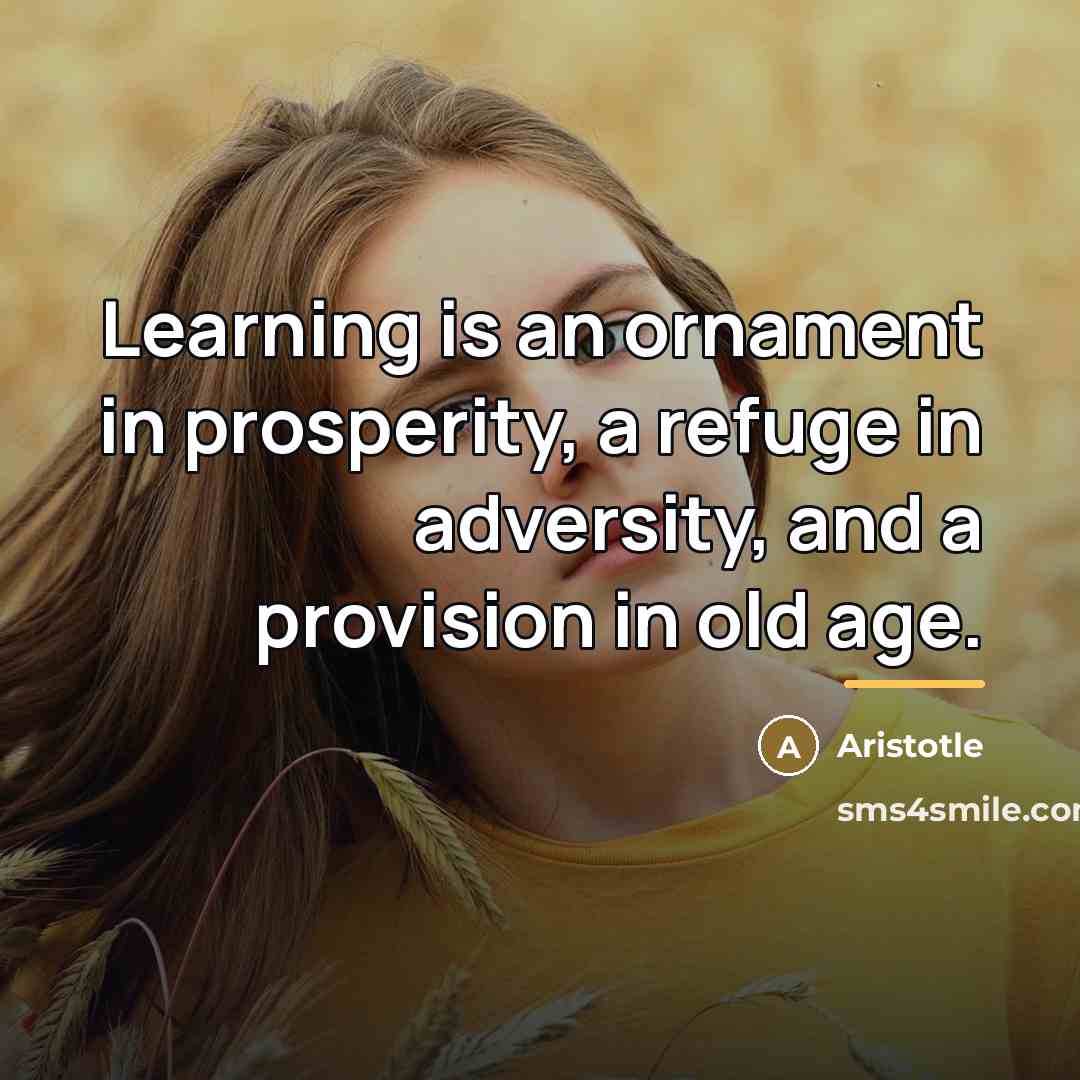 “Learning is an ornament in prosperity, a refuge in adversity,…” quote by Aristotle