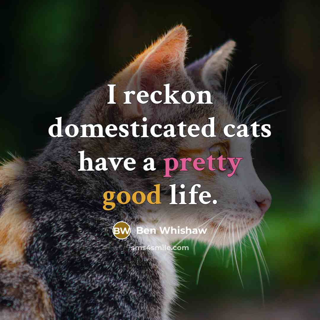 “I reckon domesticated cats have a pretty good life.…” quote by Ben Whishaw