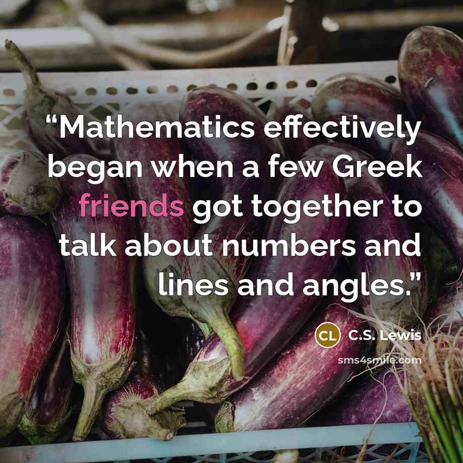 “Mathematics effectively began when a few Greek friends got together to talk about numbers and lines and angles.” quote by C.S. Lewis